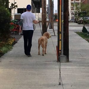 Meet your Posher, Brad